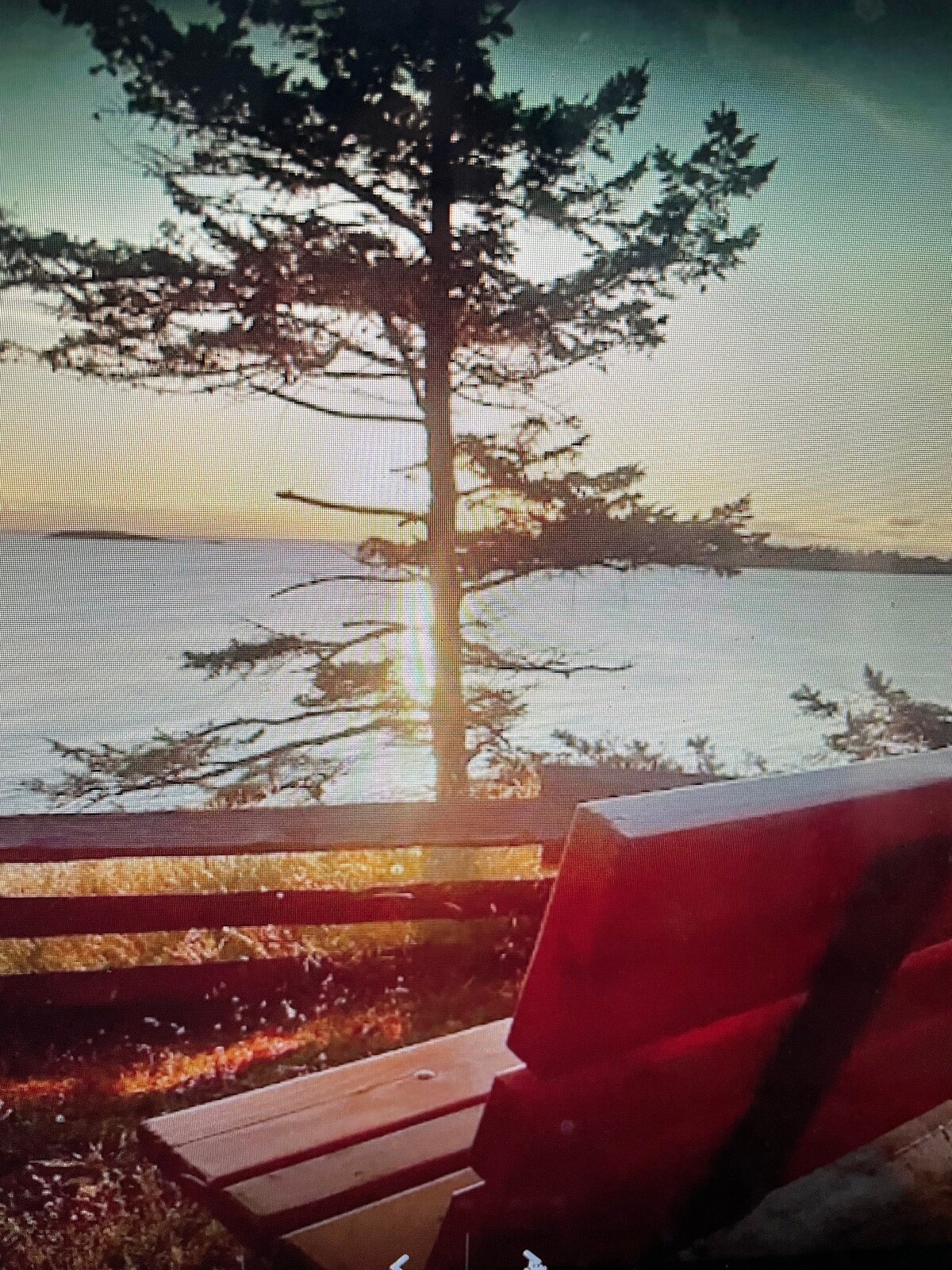 A wooden bench is positioned along a waterfront area, facing the calm water and distant horizon. A tall tree stands beside the bench, casting shadows in the evening light. The sun sets behind the tree, illuminating the scene with warm tones.