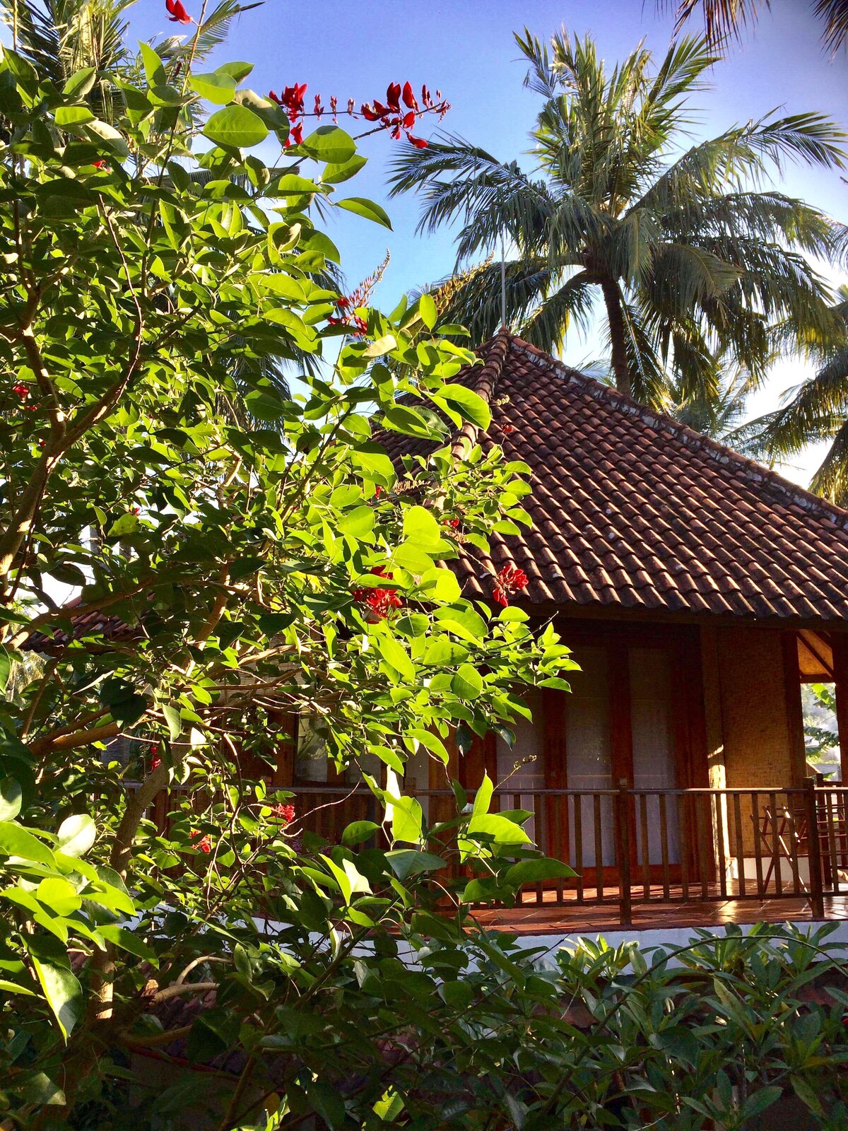 A traditional Indonesian-style accommodation is nestled among lush greenery, featuring a thatched roof and wooden balcony. The vibrant foliage adds a natural touch, framing the structure and creating a serene atmosphere in the warm daylight.