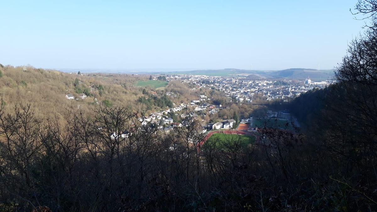 A panoramic view captures a serene landscape of a town surrounded by rolling hills and dense trees. A clear sky enhances the visibility of the setting, with a glimpse of various buildings and a sports field in the foreground.