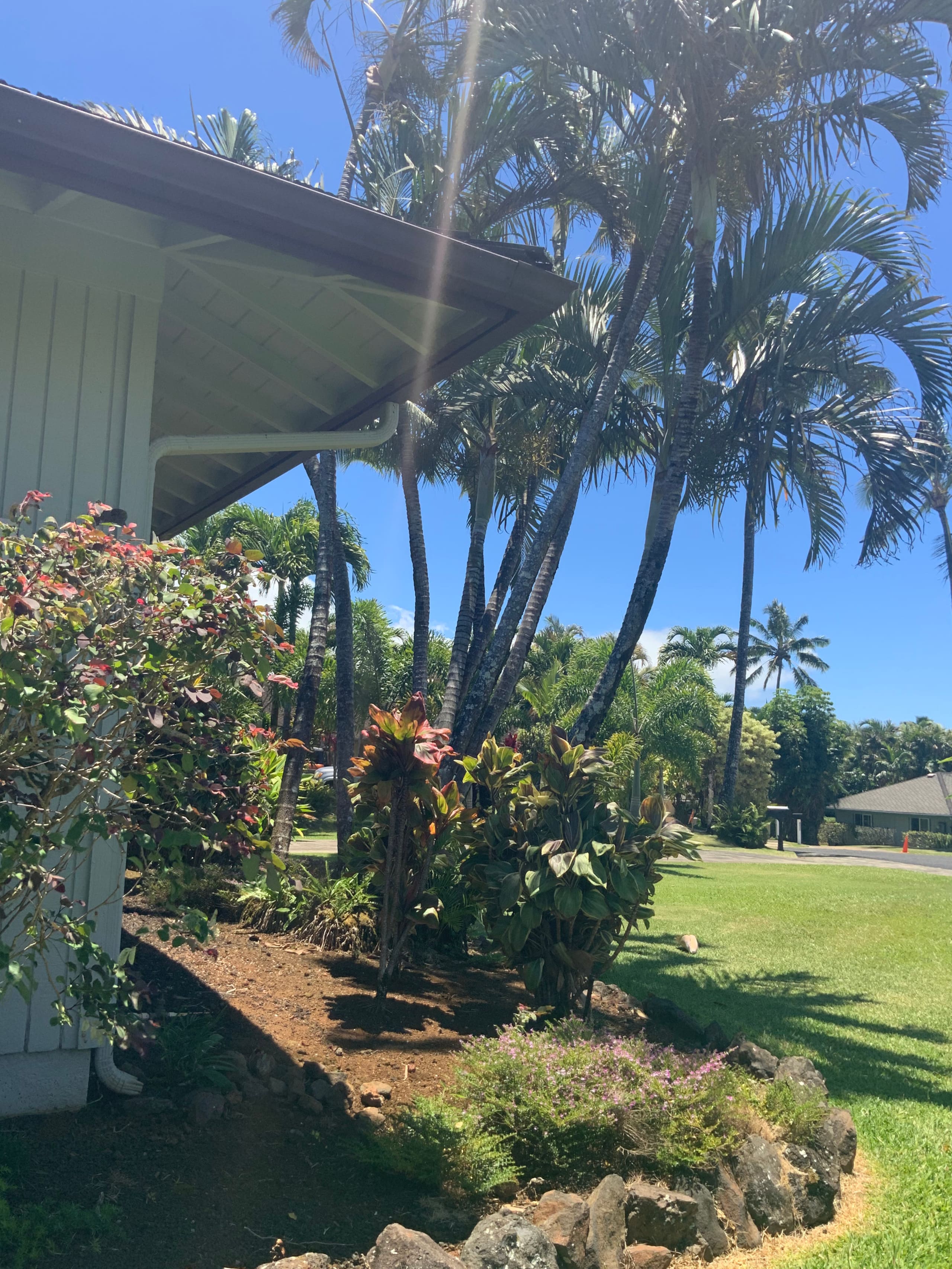 Home in Princeville · ★4.99 · 3 bedrooms · 4 beds · 2 baths - Image 33