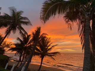Palm trees are gently swaying in the foreground, framing a vibrant sunset over the ocean. Soft hues of orange and yellow blend into the calming blue sky, while waves softly lap against the sandy shore, creating a peaceful coastal scene.