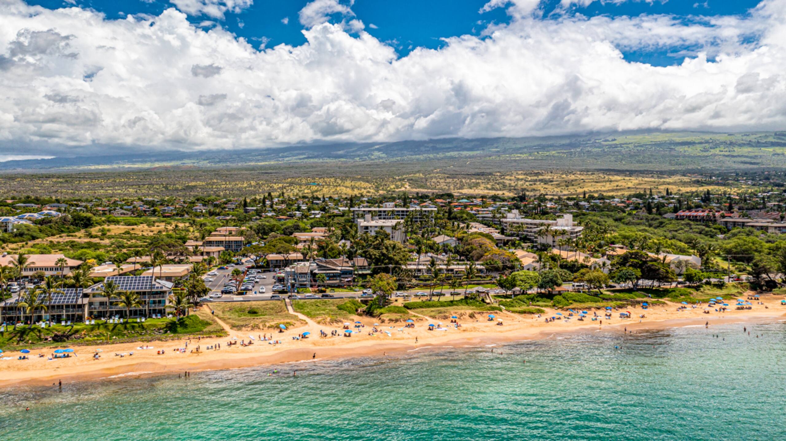 Condo in Kihei · ★4.97 · 1 bedroom · 2 beds · 1 bath - Image 42