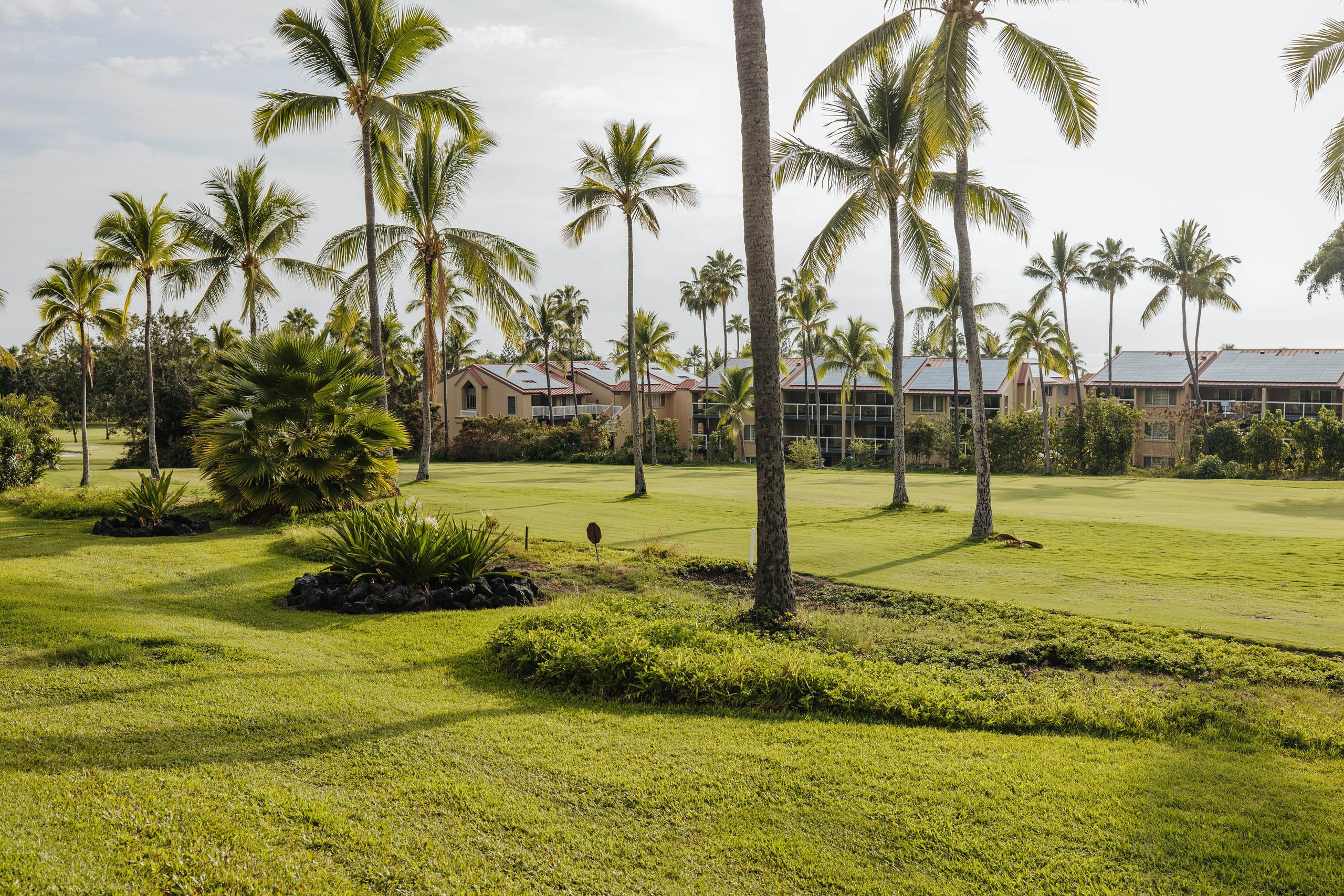Condo in Kailua-Kona · ★4.93 · 1 bedroom · 2 beds · 2 baths - Image 29