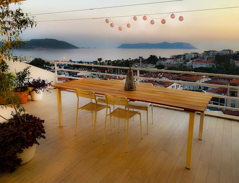 Penthouse with amazing landscape