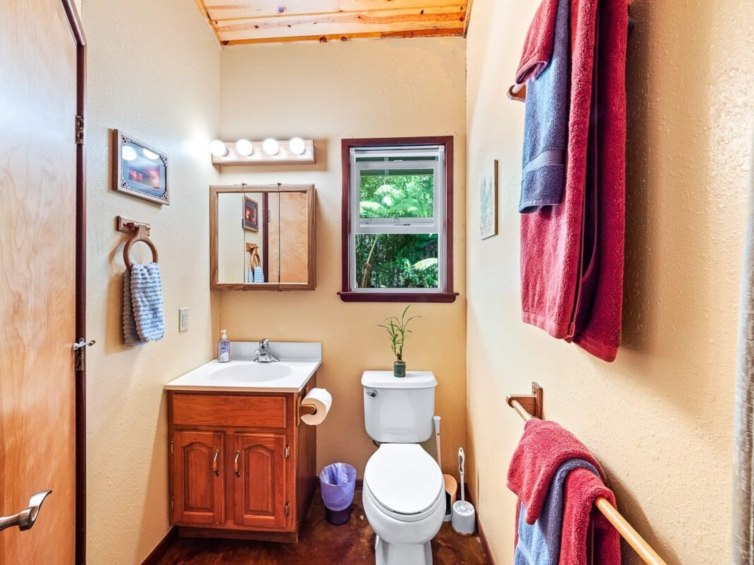Charming Tiny Home 5 min from National Park - Photo 4