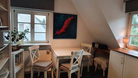 Popular Airbnb listing: Cozy 1-room apartment with kitchen and bathroom in Nürnberg