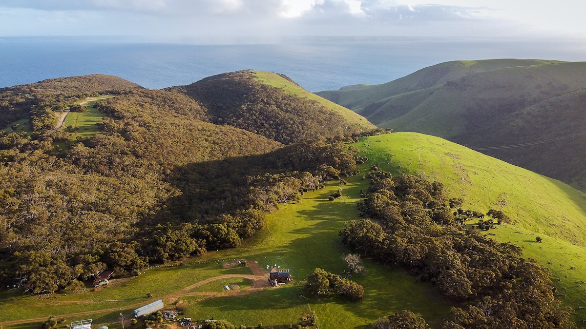 Aerial view of rolling green hills leading to a coastline meeting the ocean. Patches of trees are visible, with a tiny house nestled within the landscape, surrounded by natural wilderness. The sky features soft clouds and hints of sunlight casting shadows across the hills.