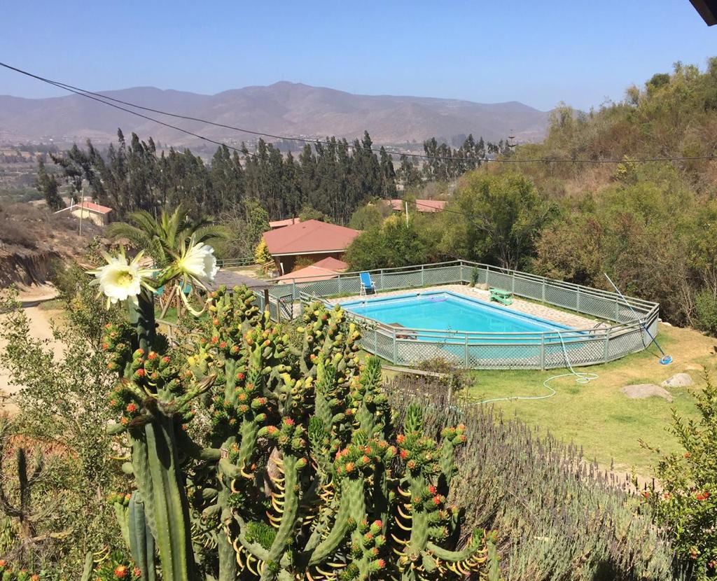 A view of a spacious outdoor pool, enclosed by a fence and surrounded by green grass. Native vegetation and cacti are pictured in the foreground, with rolling hills and mountains visible in the distance under clear blue skies.