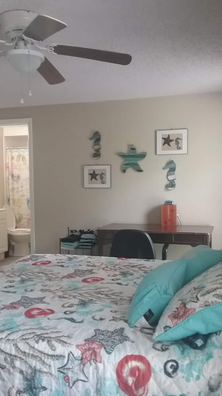 Howard Park Beach Holiday Rentals & Homes Tarpon Springs, FL Airbnb