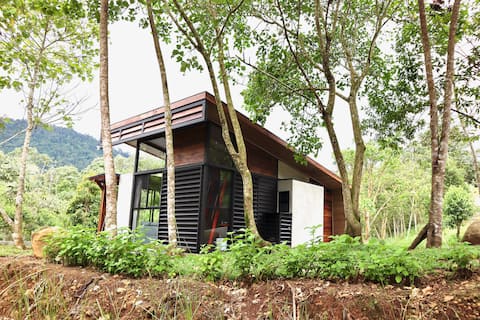 Modern Solar Tiny House | Mountain Getaway