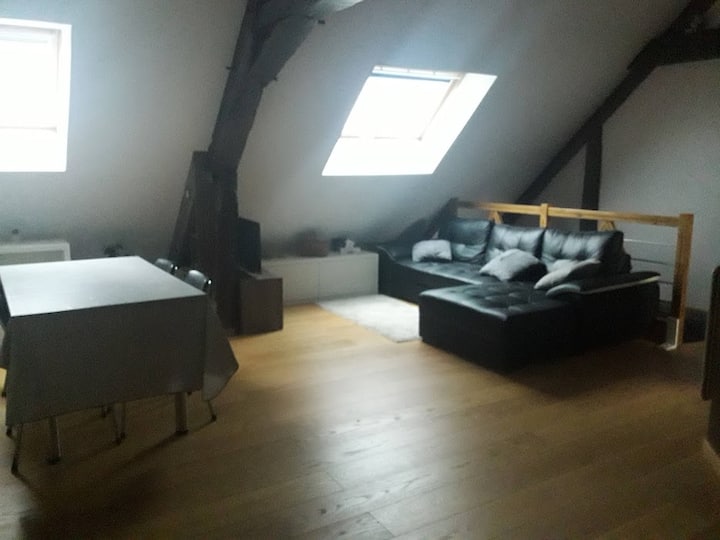 Joli Appartement Meublé Indépendant Dans Maison - Rumilly