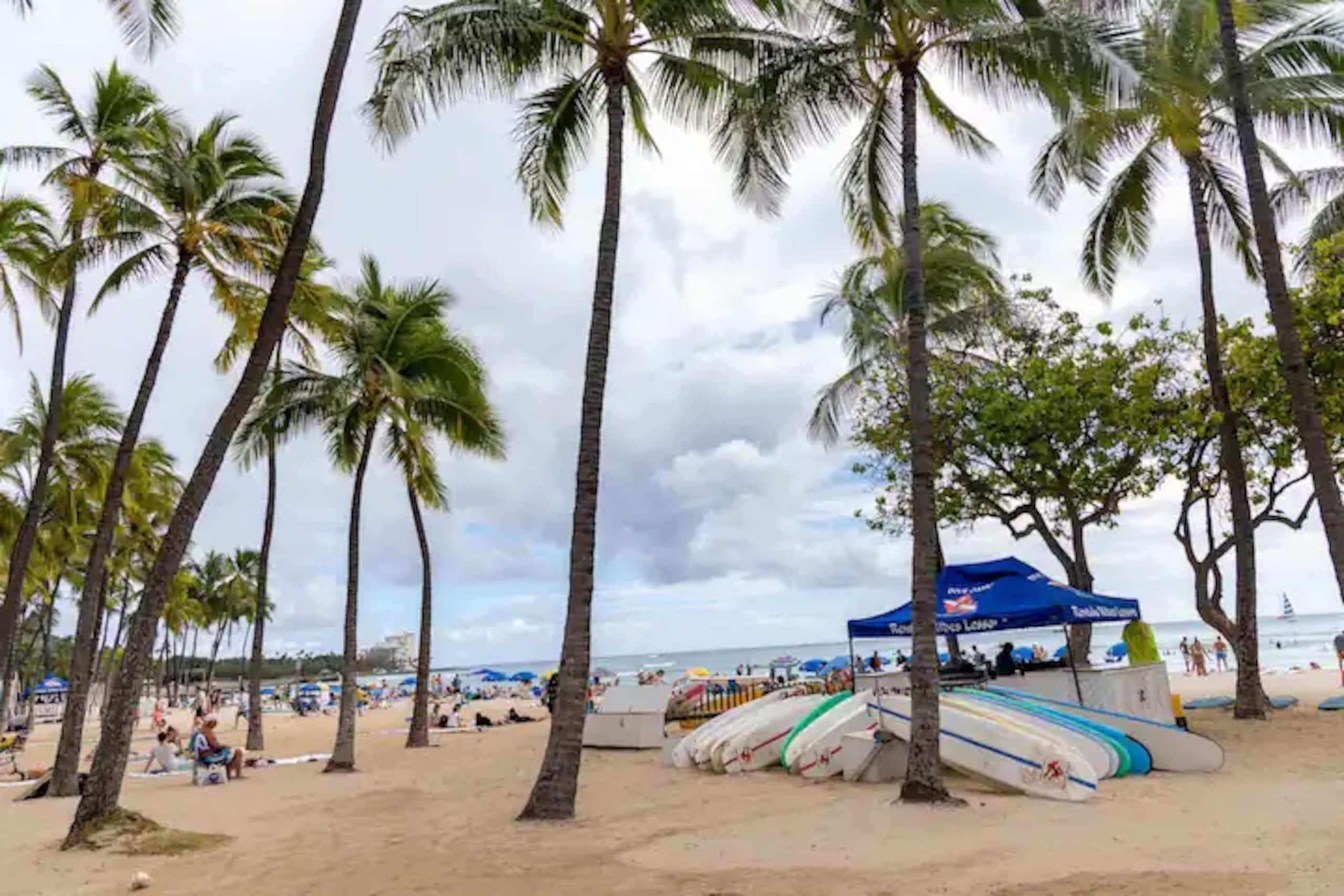 Condo in Honolulu · ★4.91 · 1 bedroom · 2 beds · 1 shared bath - Image 22