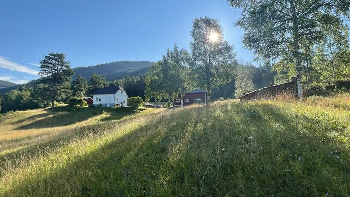 Image 1