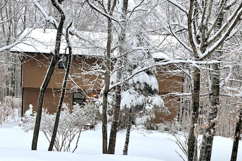 Top performing Airbnb: Cozy Family Home, dog friendly in Beech Mountain