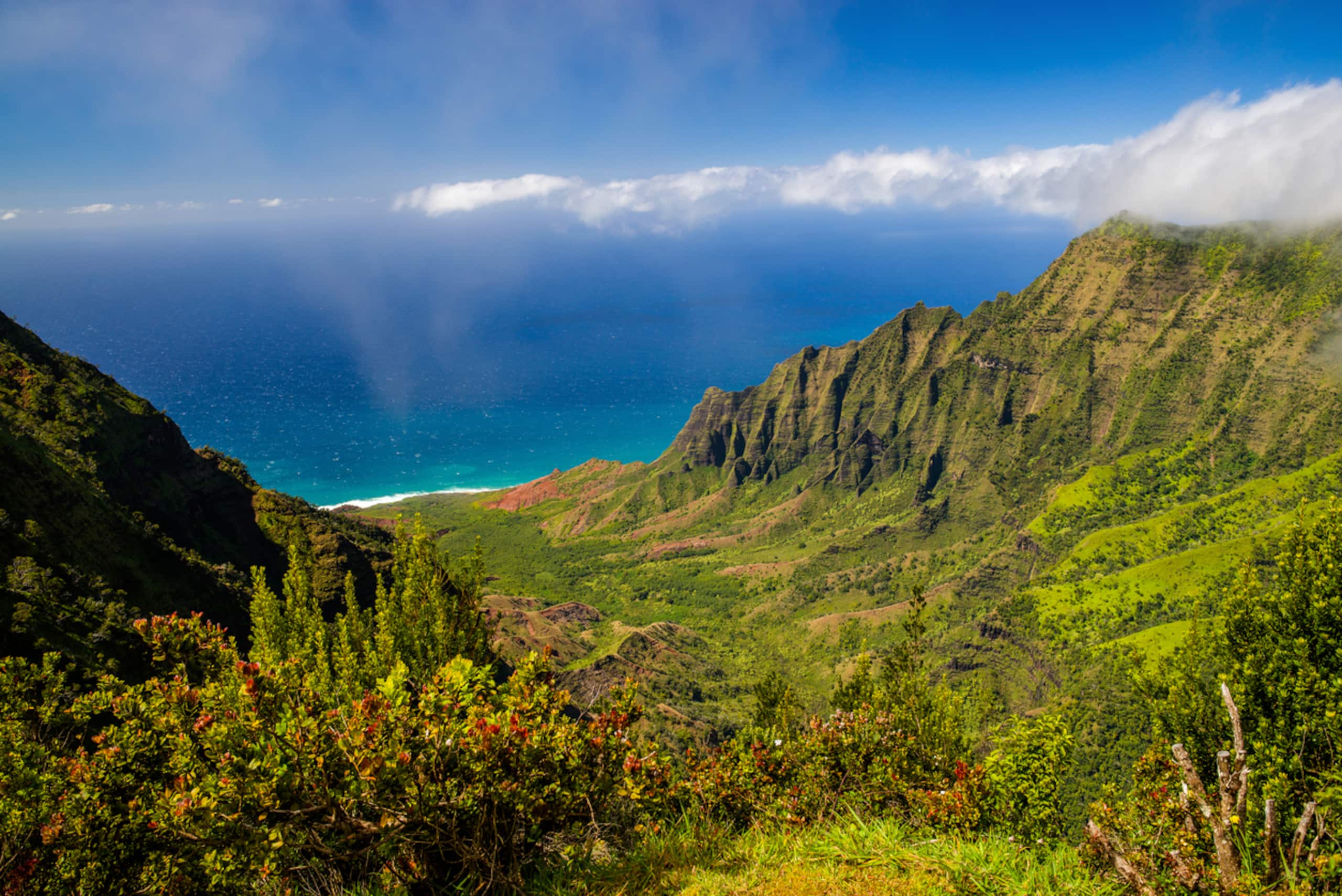 Condo in Koloa · ★4.9 · 1 bedroom · 2 beds · 2 baths - Photo 26