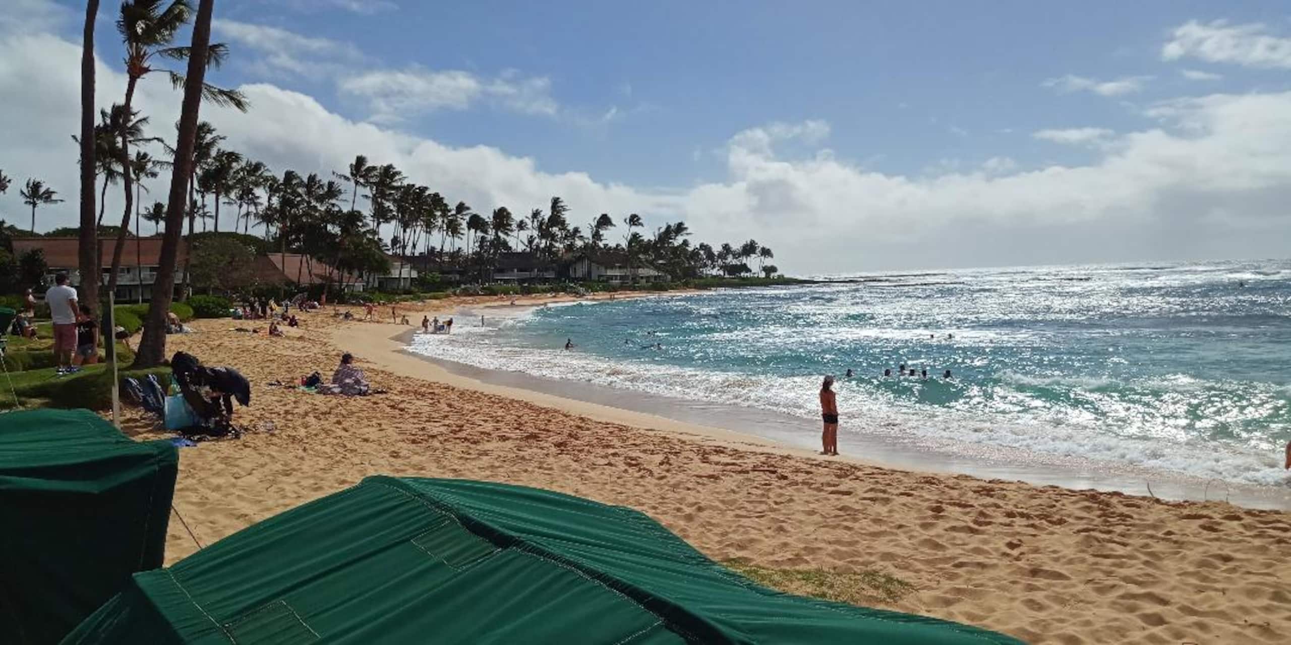 Condo in Koloa · ★4.9 · 1 bedroom · 2 beds · 2 baths - Photo 24