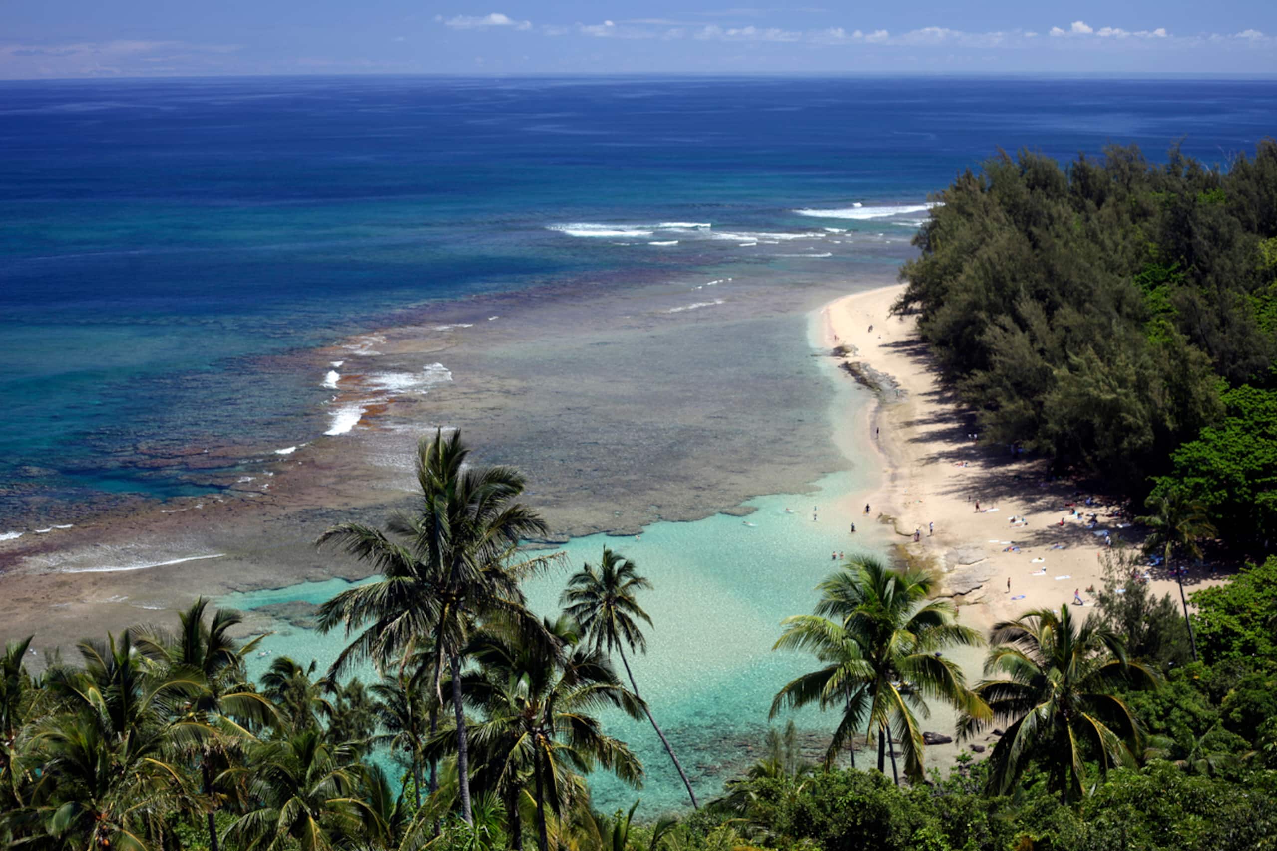 Condo in Koloa · ★4.9 · 1 bedroom · 2 beds · 2 baths - Photo 23