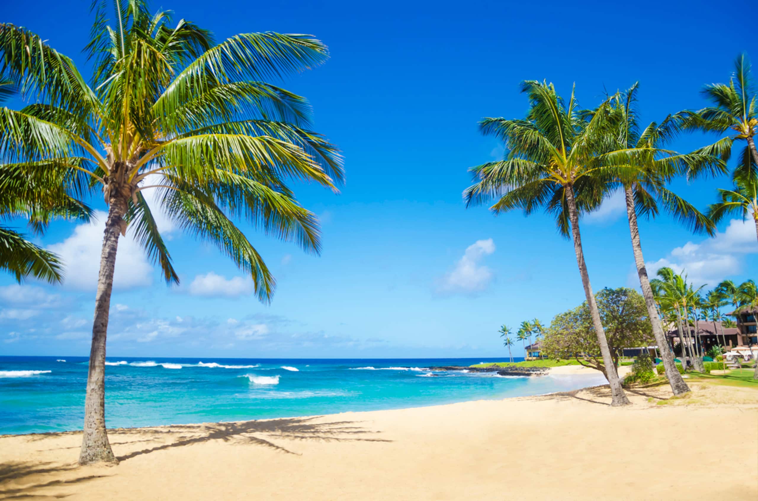 Condo in Koloa · ★4.9 · 1 bedroom · 2 beds · 2 baths - Photo 22
