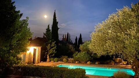 Tiny House Joy heated pool - aMiniMas ecogite