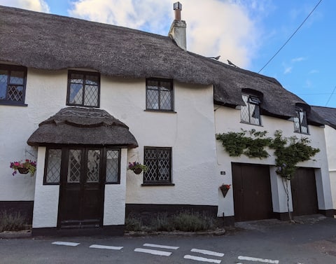 Successful Airbnb property: Beautiful Thatched property in coastal location in Dawlish