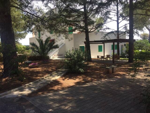 Tenuta Lamanna, appartamenti in Villa con piscina gallery image 2