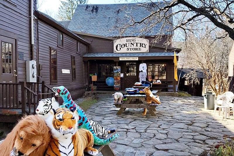 An inviting country store is seen featuring a rustic exterior made of dark wood. A stone pathway leads to the entrance. Plush animal toys, including lions and tigers, are displayed on a picnic table, while various goods are arranged outside, enhancing the local shopping experience.