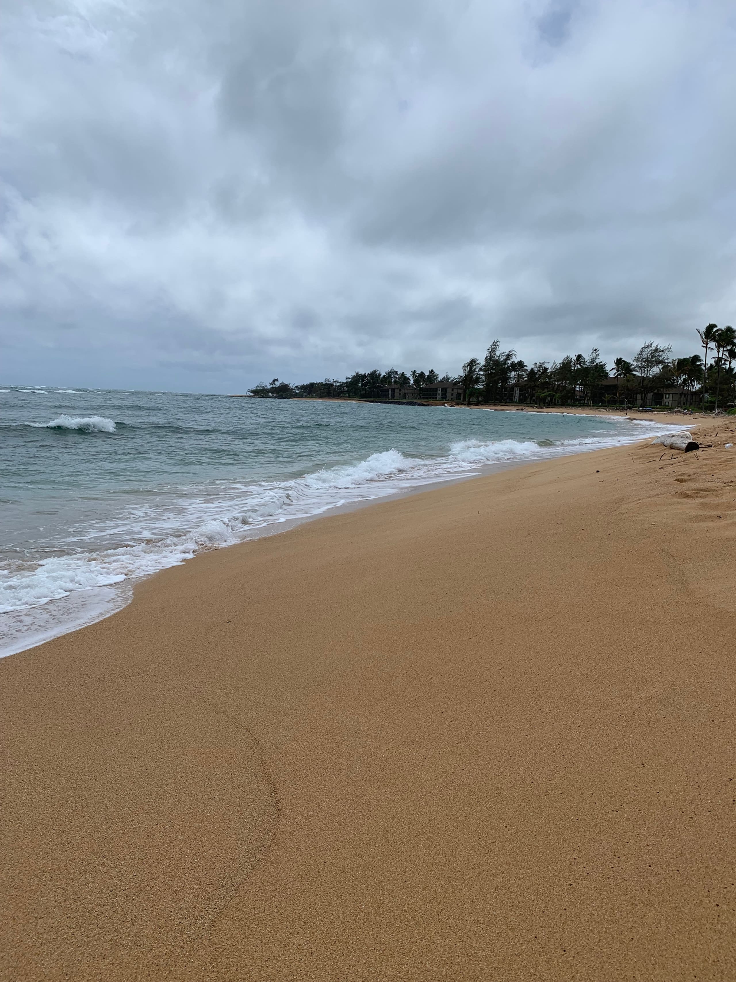 Place to stay in Kapaa · ★4.81 · 1 bedroom · 1 bed · 1 bath - Image 14