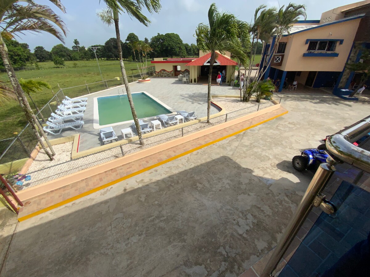 A clear view of a rectangular pool surrounded by white lounge chairs. Lush green trees border the area, and the spacious outdoor patio features a smooth, concrete surface. In the background, a two-story building with a red roof is visible, with open grassy fields beyond.