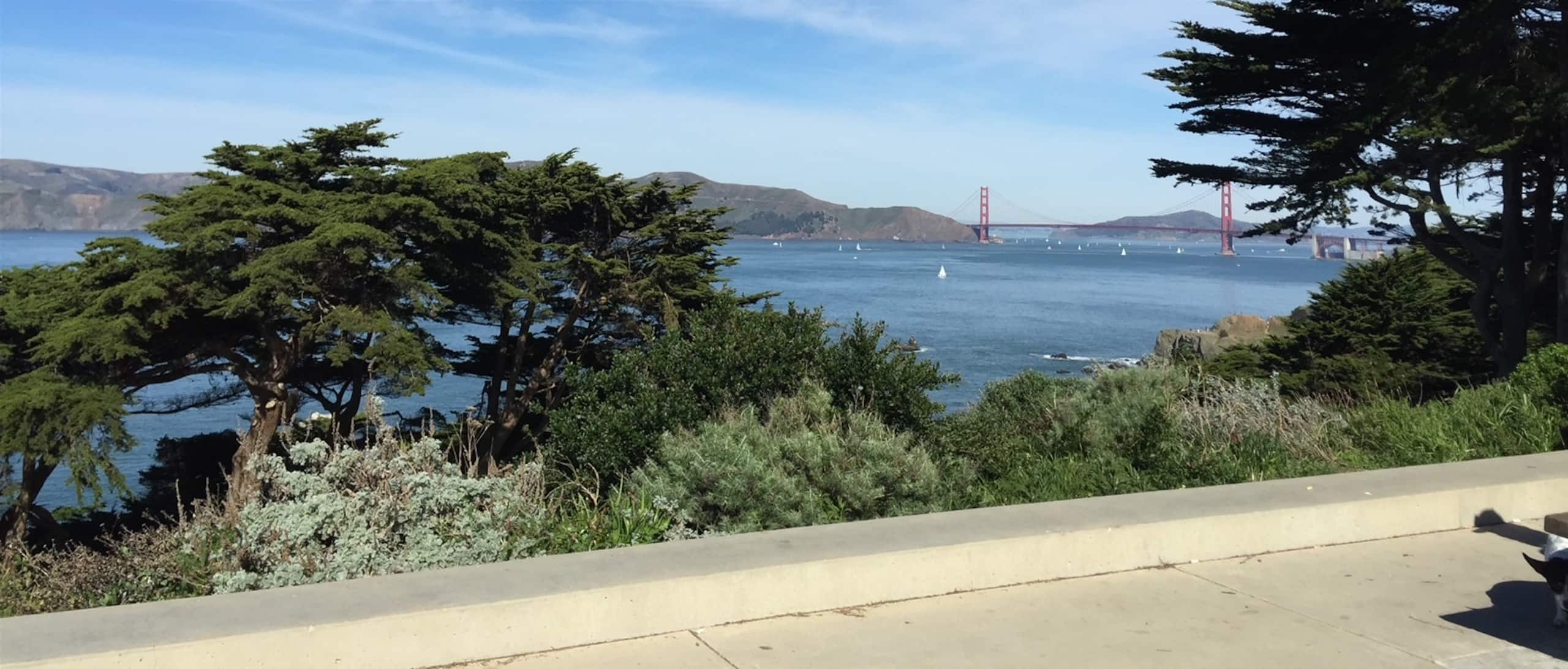 Home in San Francisco · ★4.92 · 2 bedrooms · 3 beds · 1 bath - Image 30