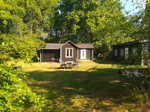 Cabin on the forest plot near Söderåsen
