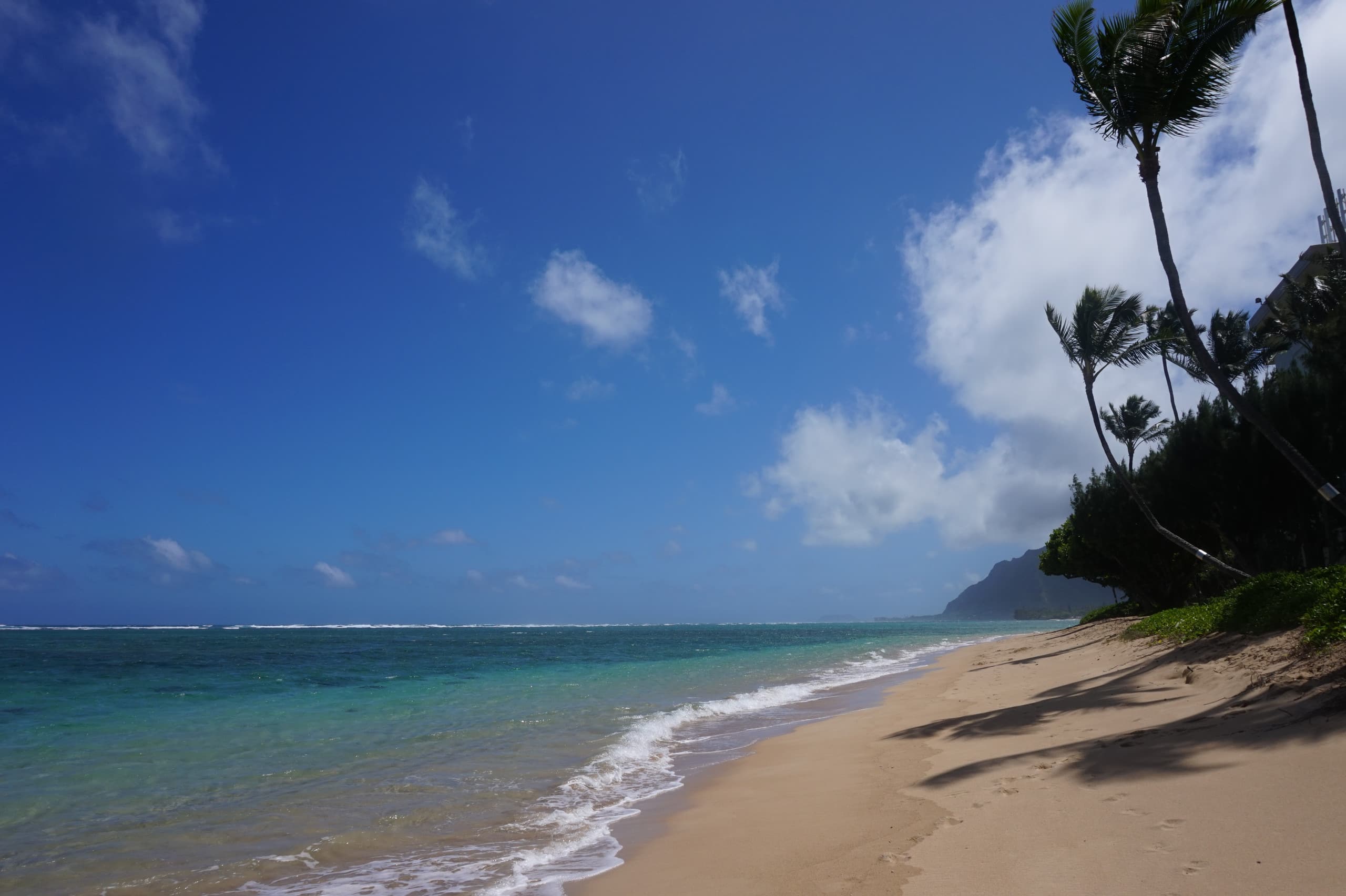 Condo in Hauula · ★4.66 · 1 bedroom · 4 beds · 1 bath - Image 31