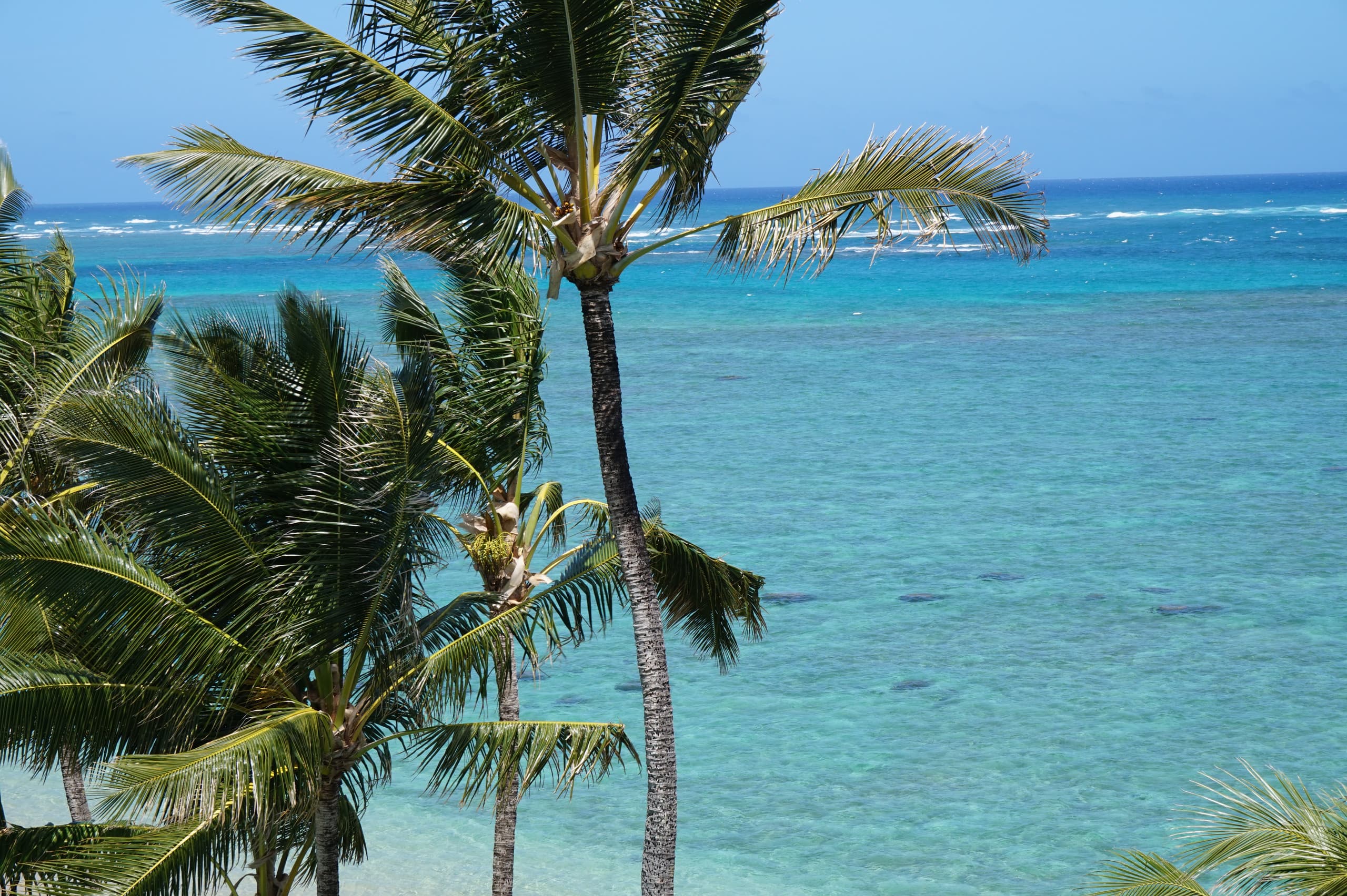 Condo in Hauula · ★4.66 · 1 bedroom · 4 beds · 1 bath - Image 34