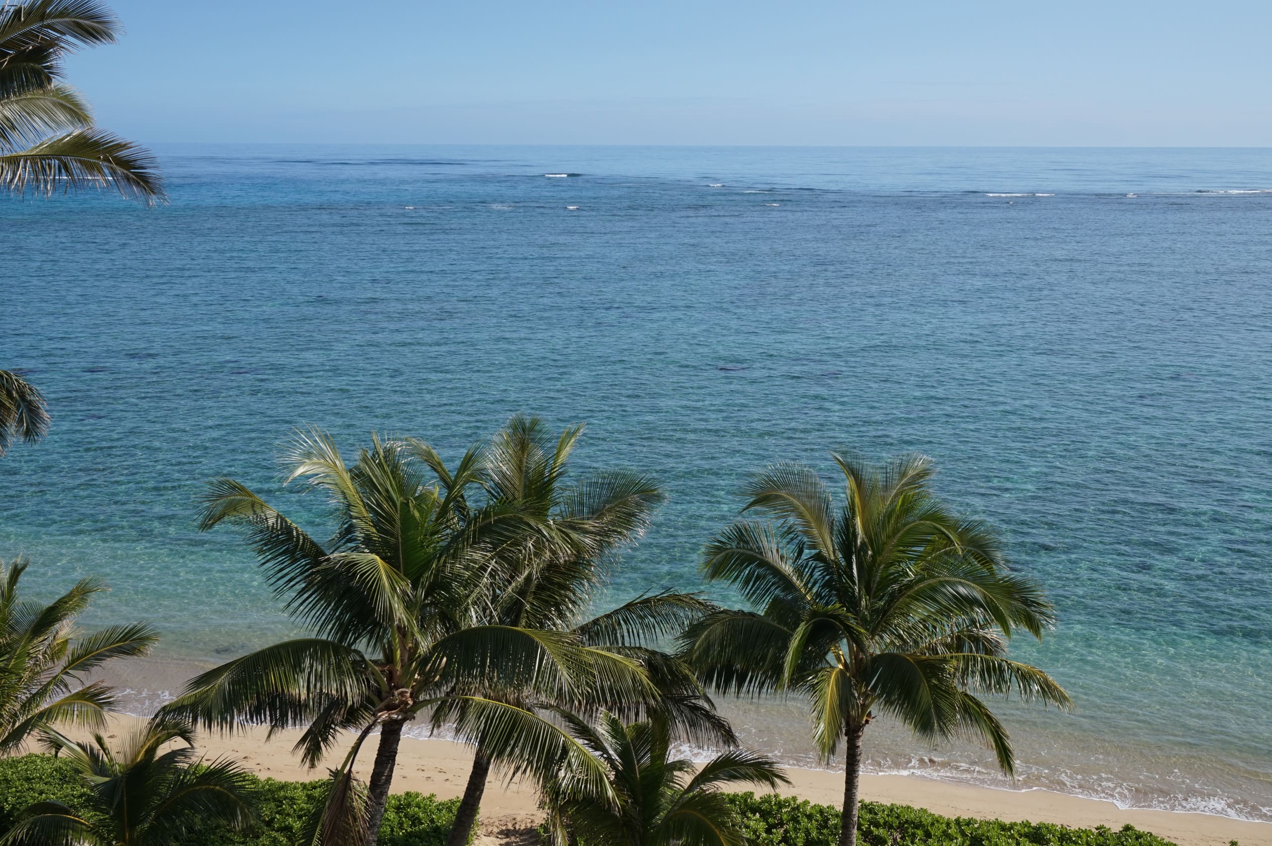 Condo in Hauula · ★4.66 · 1 bedroom · 4 beds · 1 bath - Image 32