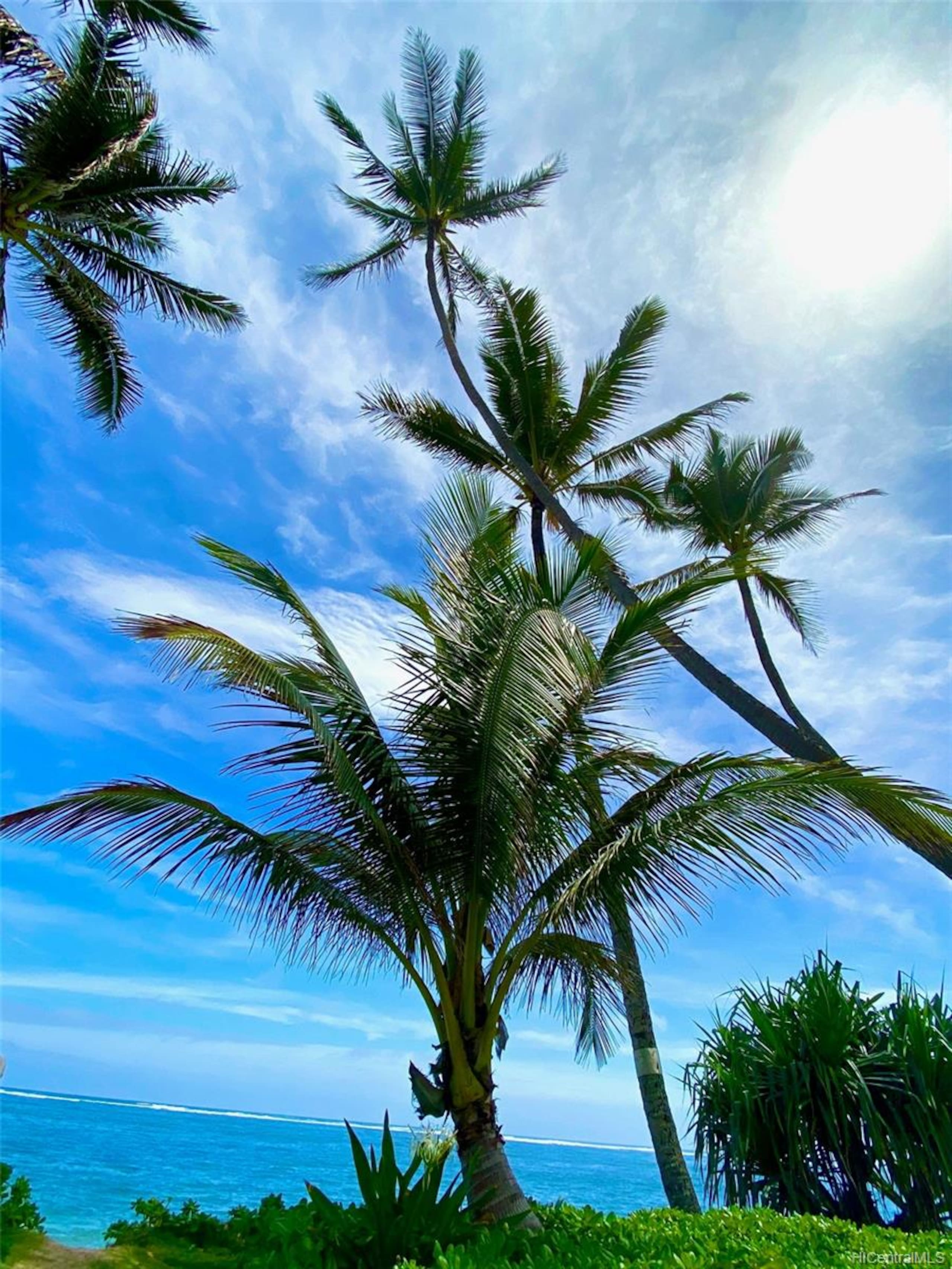 Condo in Hauula · ★4.66 · 1 bedroom · 4 beds · 1 bath - Image 29