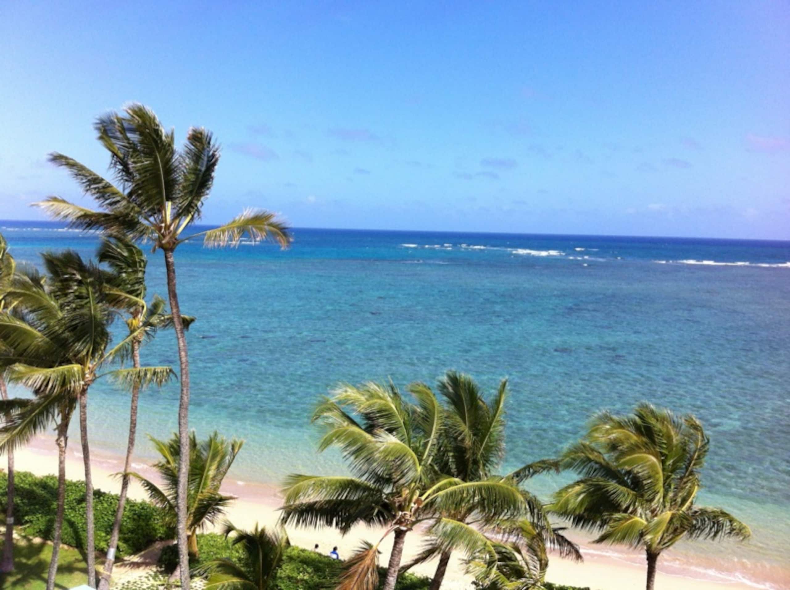 Condo in Hauula · ★4.66 · 1 bedroom · 4 beds · 1 bath - Image 24