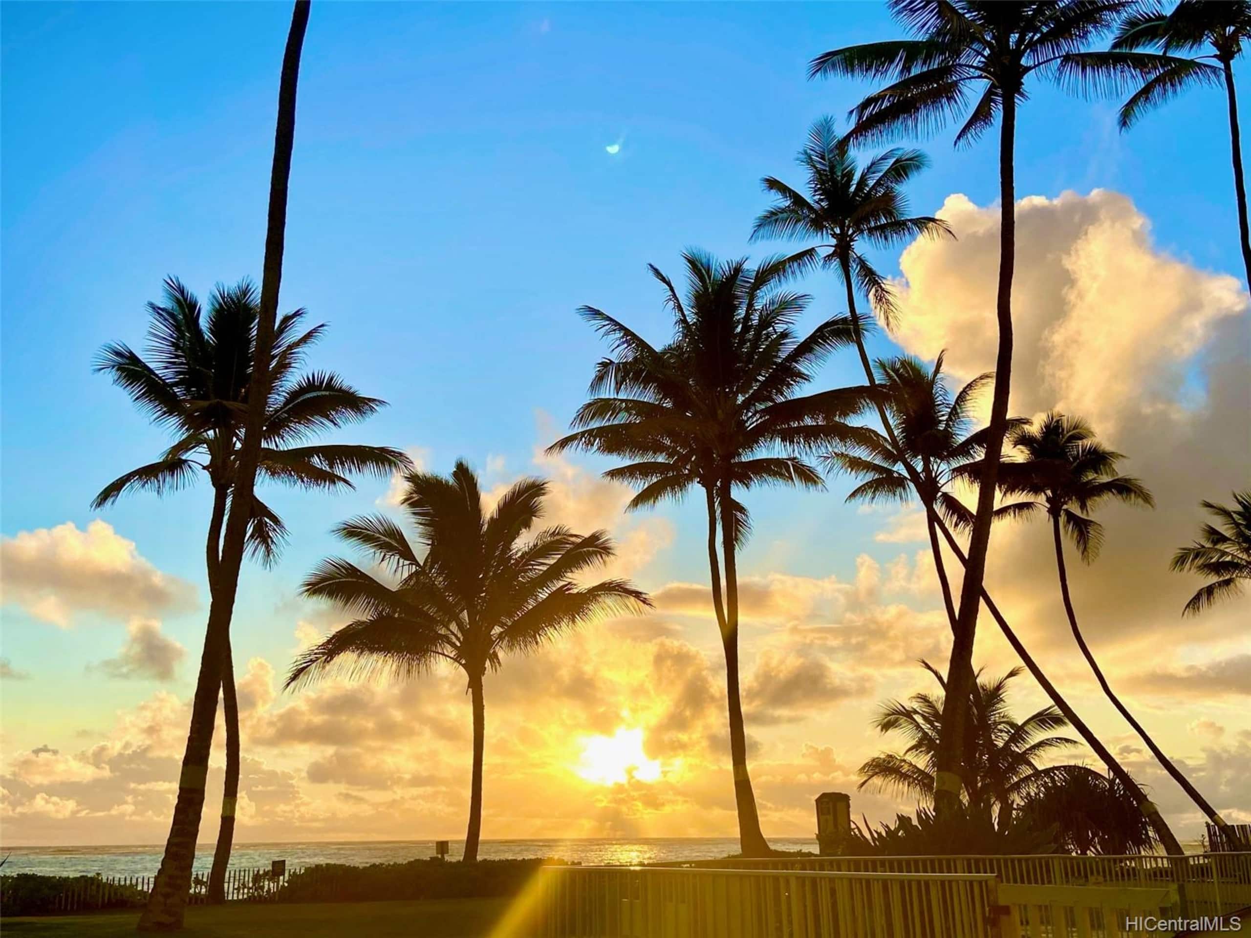 Condo in Hauula · ★4.66 · 1 bedroom · 4 beds · 1 bath - Image 27
