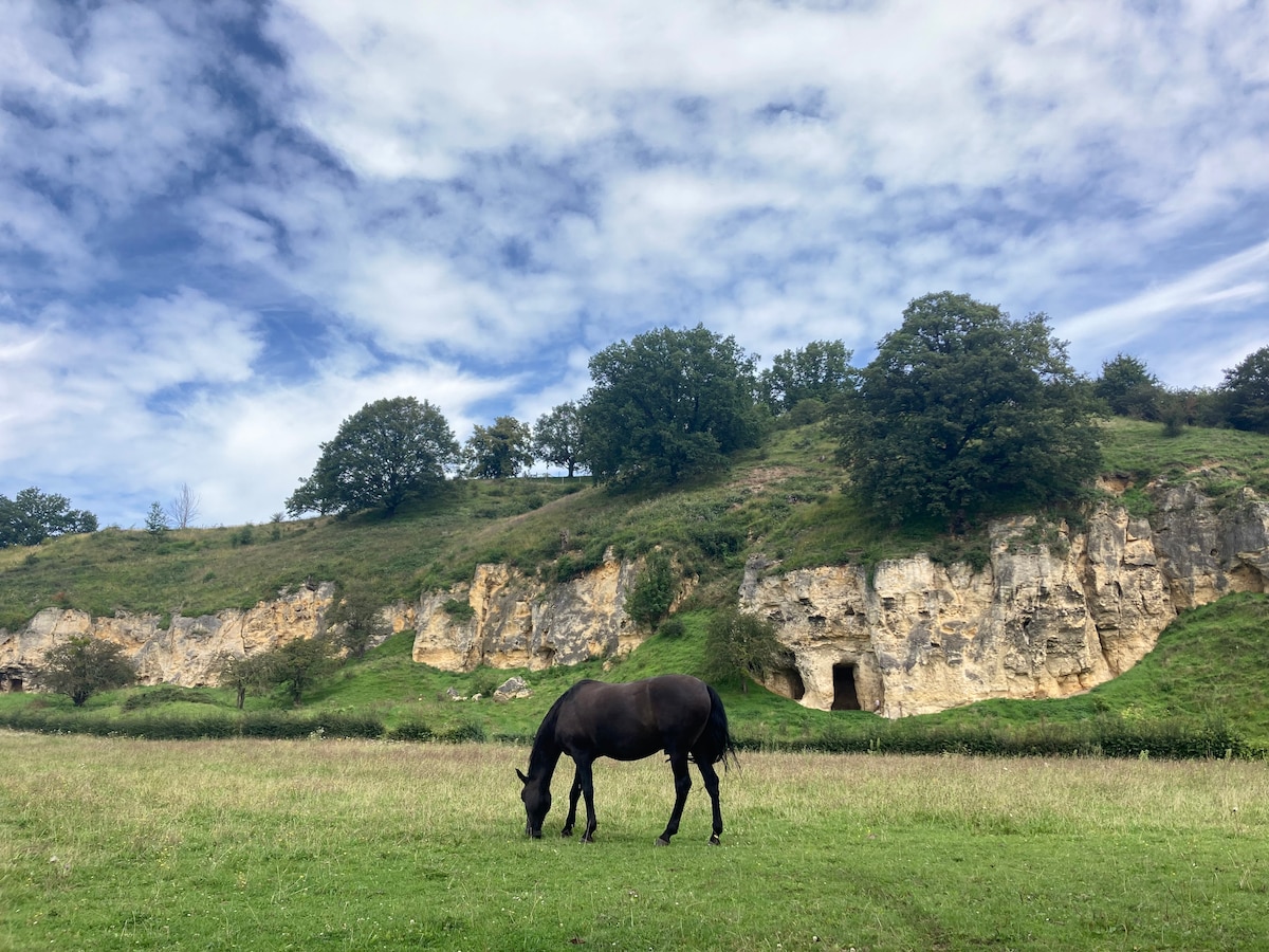 A serene landscape features a black horse grazing in a lush, green field. The grassy area is bordered by a gently sloping hillside, revealing weathered stone cliffs and a backdrop of trees under a cloudy blue sky.