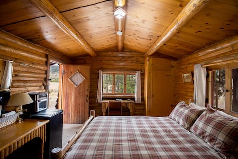 Rustic Mountain Cabin - Coyote *Double Bar J*