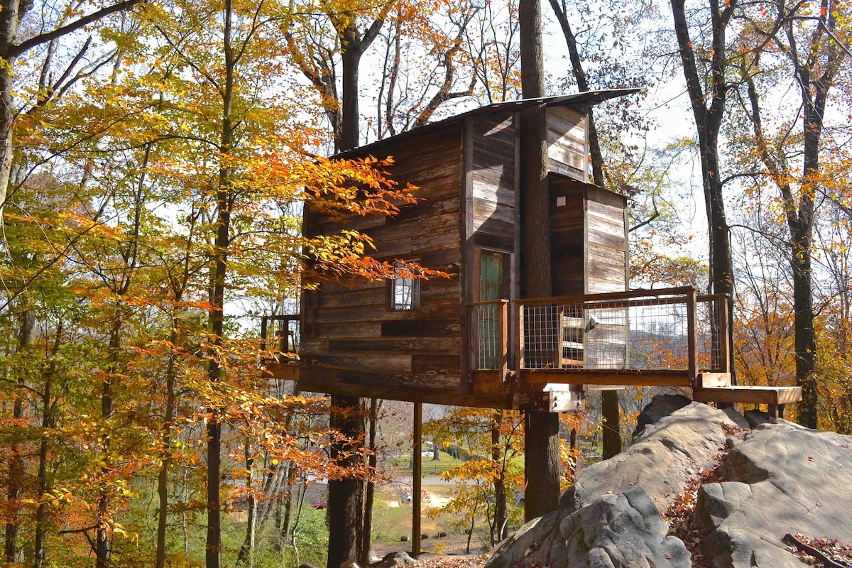 A rustic treehouse is perched among vibrant autumn trees, showcasing a blend of reclaimed barn wood. The structure features large windows and an inviting deck that extends over a rocky area, providing an immersive experience in nature.