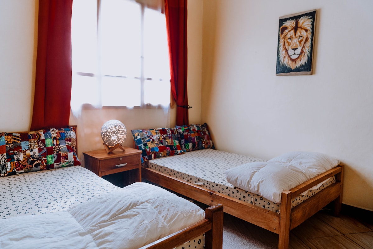 A shared room features two wooden beds with patterned cushions, offering comfortable bedding. A nightstand with a decorative lamp is positioned between the beds. Large windows with red curtains allow natural light to brighten the space, complemented by a lion-themed wall art.