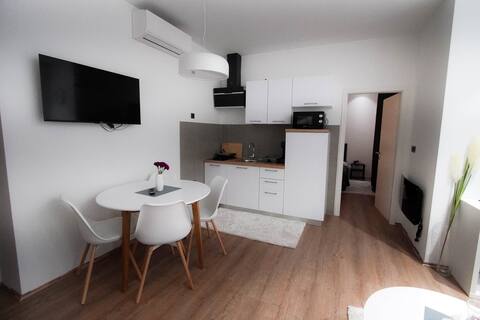 Luxury one-bedroom apartment + free parking