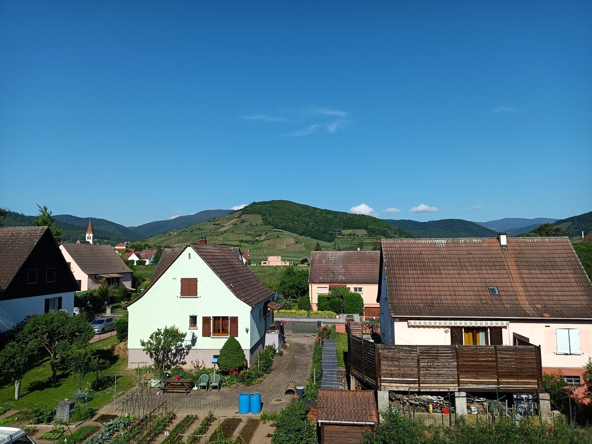 A view from the studio showcases neighboring houses with distinct colors, including a green one with a garden. The surrounding landscape features rolling hills and a clear blue sky, creating a serene atmosphere. Nearby, rows of cultivated plants are visible in the foreground.