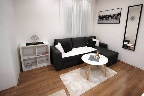 Luksuzan studio apartman + besplatan parking