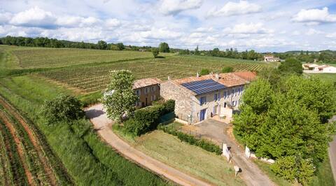 Les Gîtes de Crabet - Piscine - Vignoble