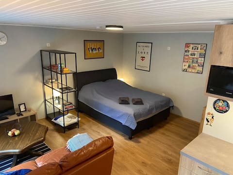 Comfy apartment, heart of Tartu, free parking