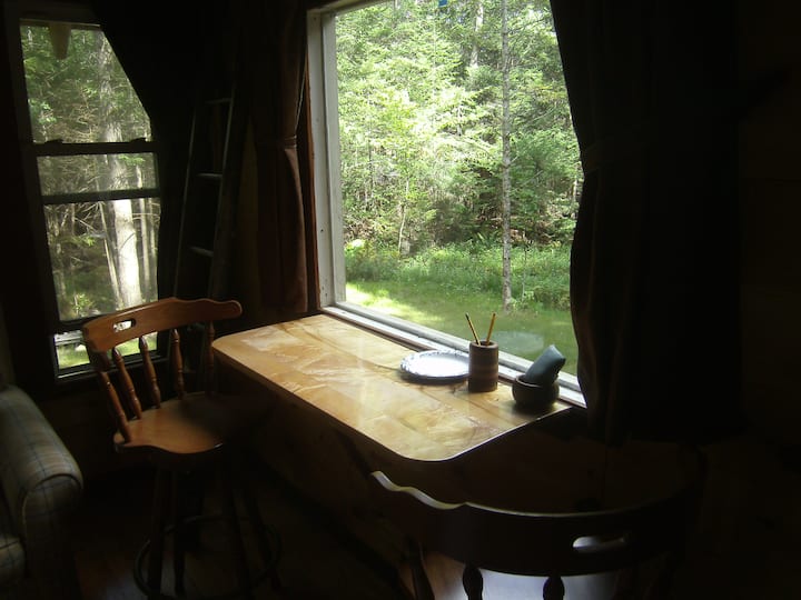 Off-grid Cabin For Quiet And Low-tech Getaway - Saratoga, NY