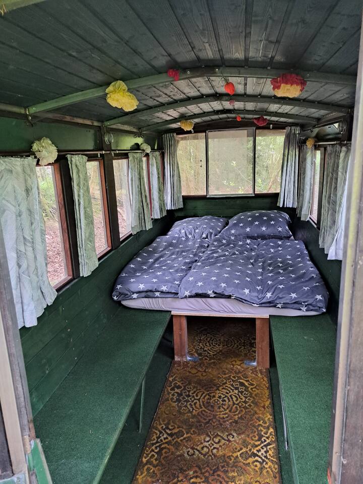 1.40 x 2.00 მეტრიანი საწოლი გეპატიჟებათ ტყეში განსაკუთრებული ღამეებისთვის.