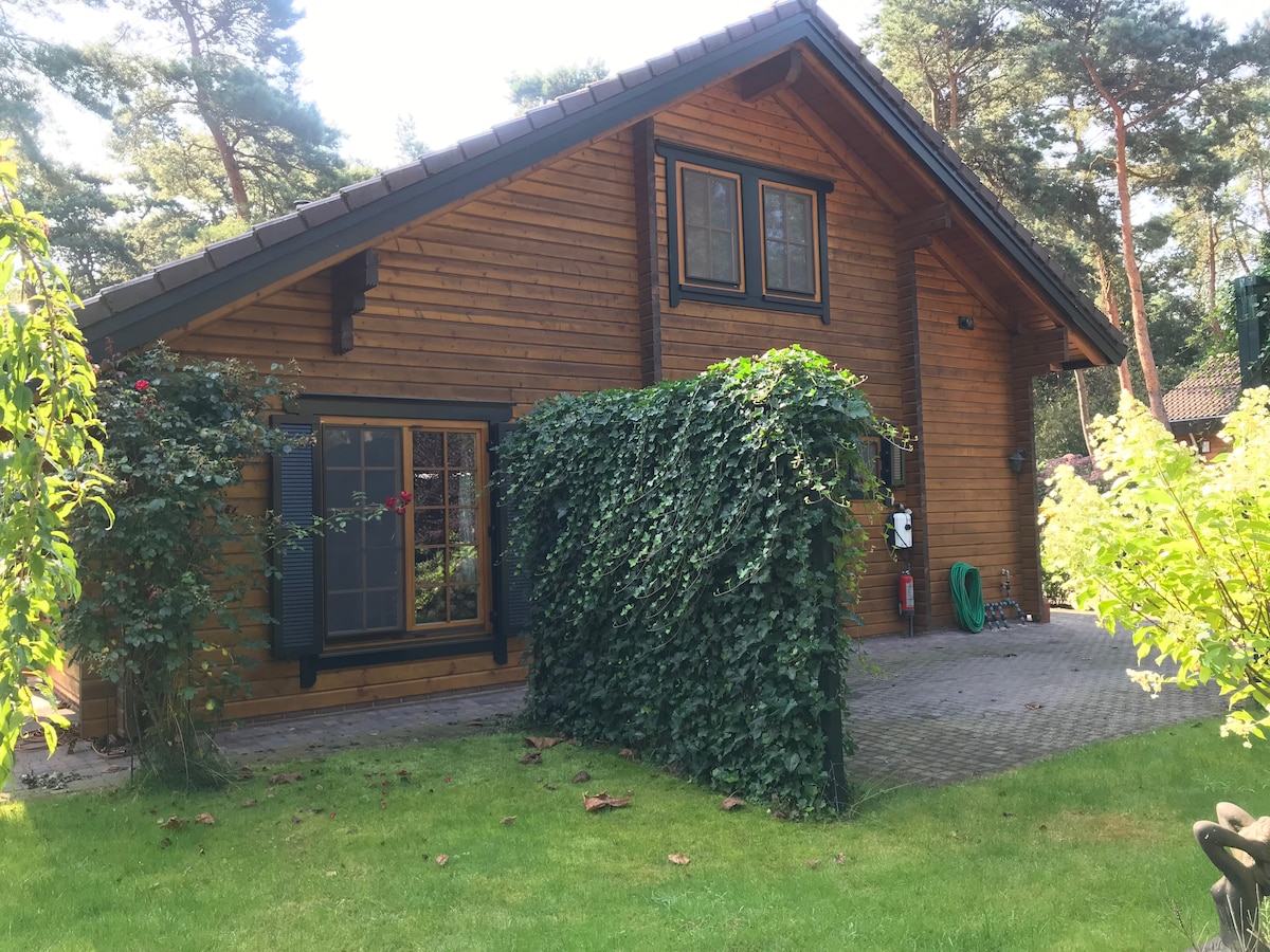 A wooden cabin-style house is surrounded by lush greenery and low shrubs, with a cobblestone pathway leading to the entrance. Large windows adorned with dark shutters allow natural light to fill the interior. Nearby, a well-maintained lawn provides a serene outdoor space.