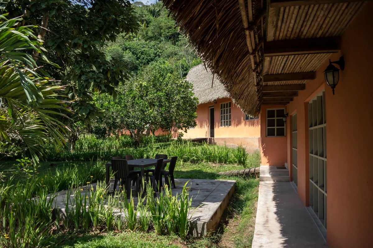 A shaded patio area is presented with a simple table and chairs, surrounded by lush greenery and vibrant plant life. The stone flooring leads to the house, which features large windows and a thatched roof, creating a harmonious connection with the natural environment.