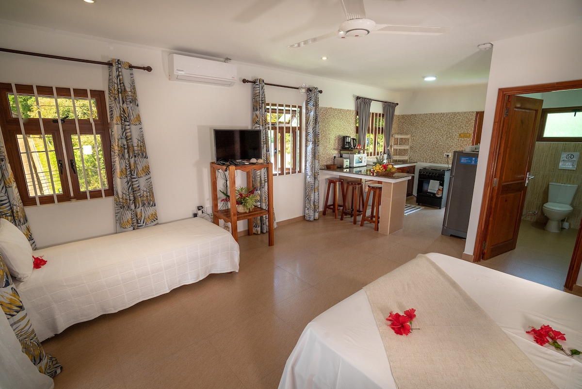 The spacious studio features a well-equipped kitchen and a living area with a television. Natural light enters through multiple windows, accented by patterned curtains. A comfortable sleeping area is provided with a large bed and a separate twin bed, adorned with tropical flowers.